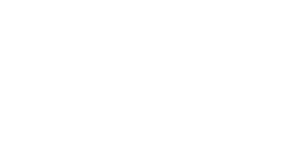 Boring Wear Official Logo in White